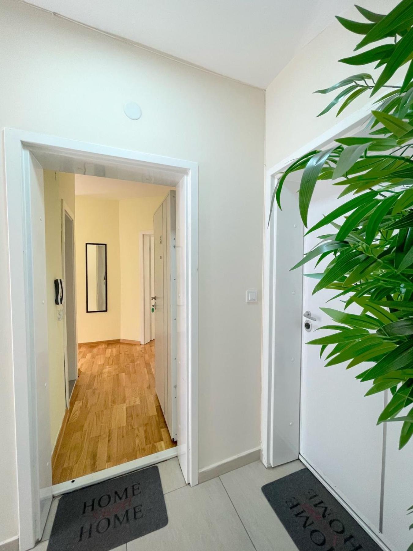 Apartment Irena 3 سكوبجي المظهر الخارجي الصورة